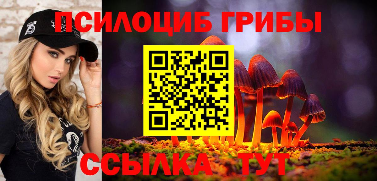 Псилоцибиновые грибы Magic Shrooms Бор